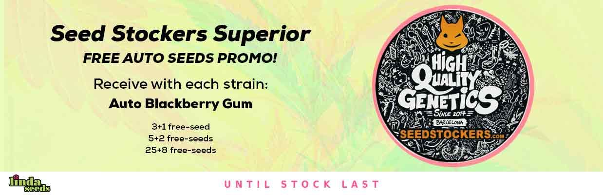 SEED STOCKERS FREE SEEDS PROMOTION