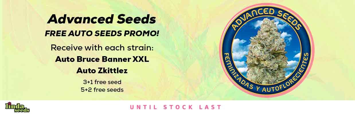 ADVANCED SEEDS PROMOCIÓN DE SEMILLAS GRATIS