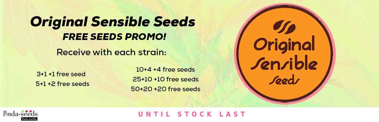 ORIGINAL SENSIBLE SEEDS FREE SEEDS PROMOTION